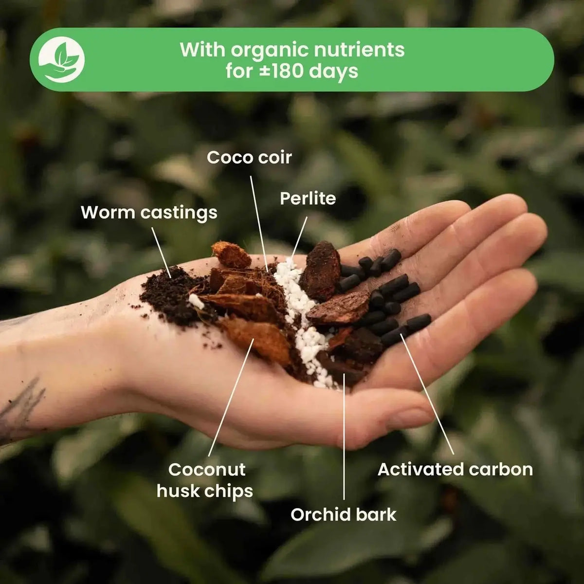 Hoya Potting Mix on white background, product photo 3.