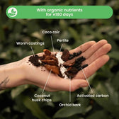 Hoya Potting Mix on white background, product photo 3.