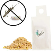 Amblyseius swirskii – Biologische Bekämpfung gegen Thripse & Weiße Fliegen – Hauptproduktfoto vor weißem Hintergrund.