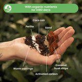 Ficus Soil Mix on white background, product photo 2.