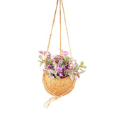 Tradescantia zebrina ‘Sweetness’ in Kokodama potted houseplant in nursery pot on white background, product photo 2.