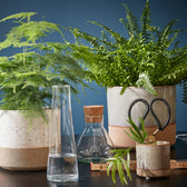 Planter 'Lago' on white background, product photo 3.