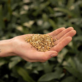 Vermiculit auf weißem Hintergrund, Produktfoto 3.