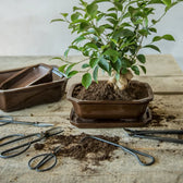 Bonsai-Schere auf weißem Hintergrund, Produktfoto 3.