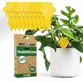 Plant Fly Trap - Fungus Gnats Sticky Traps on white background, product photo 2.