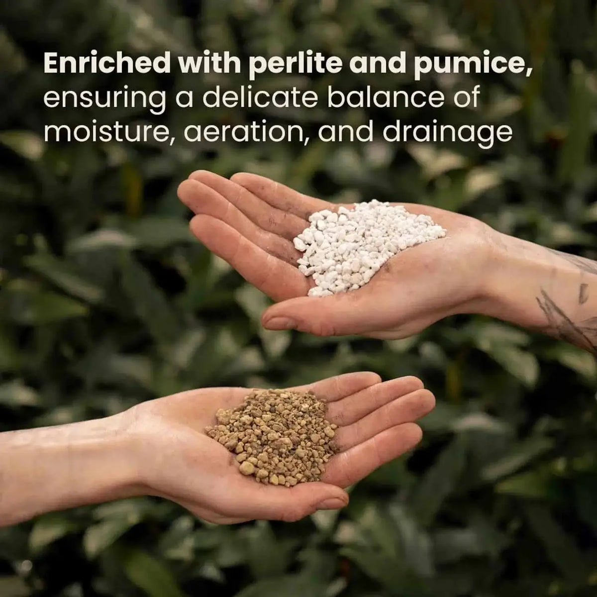 Bonsai Soil Mix on white background, product photo 8.