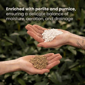 Bonsai Soil Mix on white background, product photo 8.