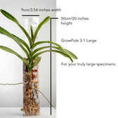 THICCLY® GrowPole™ - ultimative Pflanzenstütze vor weißem Hintergrund, Produktfoto 13.