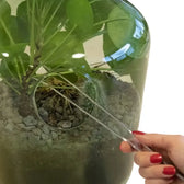 Terrarium-Pinzette auf weißem Hintergrund, Produktfoto 3.