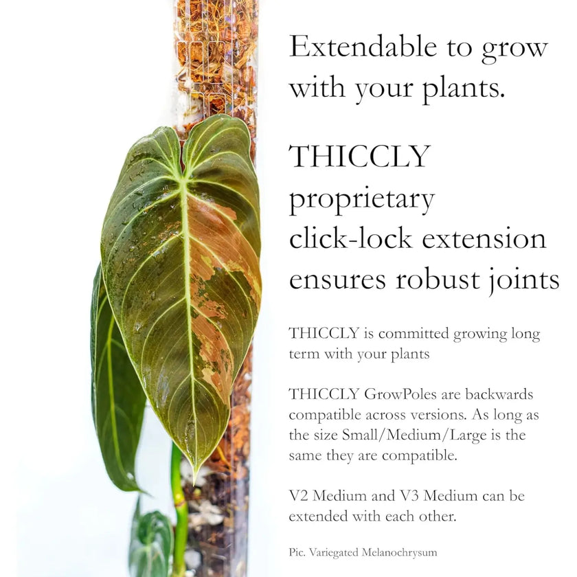 THICCLY® GrowPole™ - The Ultimate Plant Support on white background, product photo 4.