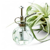 Vintage-Glaszerstäuber auf weißem Hintergrund, Produktfoto 2.