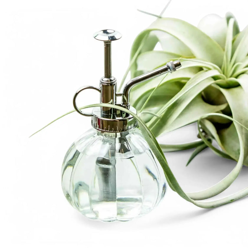 Vintage Glass Mister on white background, product photo 2.