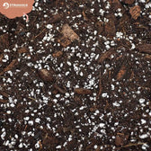 Substratmischung für Aronstabgewächse auf weißem Hintergrund, Produktfoto 9.