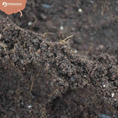 Base Soil Mix on white background, product photo 5.