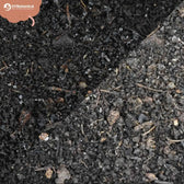 Wurmhumus auf weißem Hintergrund, Produktfoto 6.