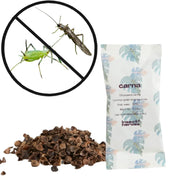 Hauptproduktfoto von Chrysoperla carnea - gegen Blattläuse und Thripse vor weißem Hintergrund.