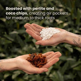 Substratmischung für Aronstabgewächse auf weißem Hintergrund, Produktfoto 6.