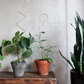 Golden Plant Stakes vor weißem Hintergrund, Produktfoto 3.