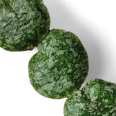 Hoya imbricata – Blattdetail vor weißem Hintergrund..