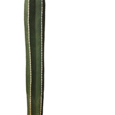 Pachycereus marginatus – Blattdetail vor weißem Hintergrund..