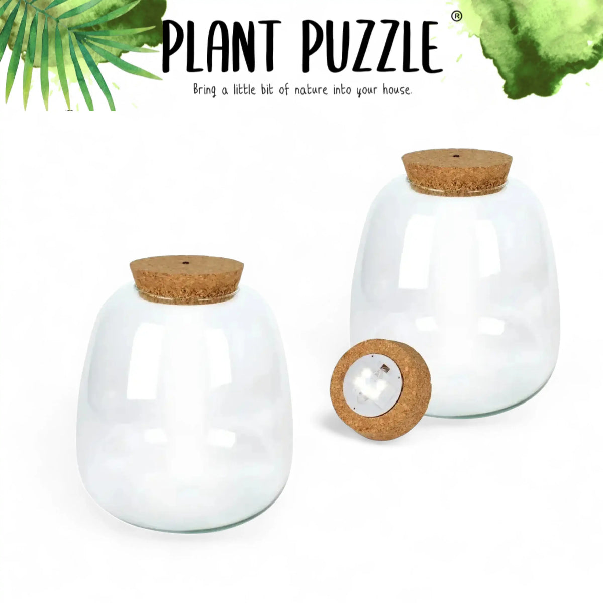 Plant puzzle terrarium jar main product photo on white background.