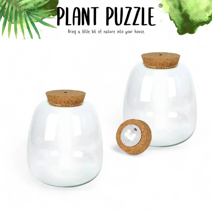 Plant puzzle terrarium jar main product photo on white background.