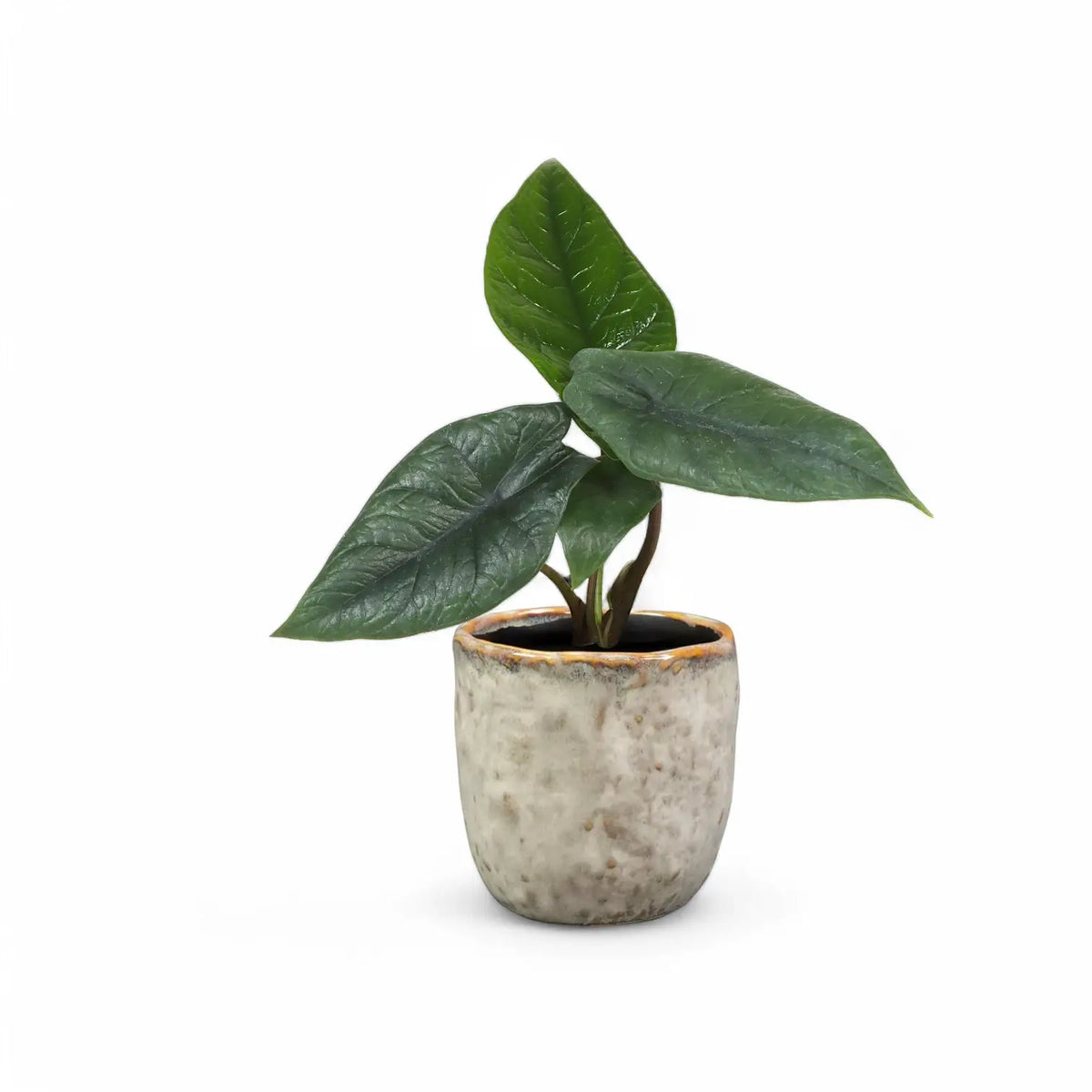 Planter 'Brian' on white background, product photo 4.
