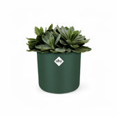 Planter 'b.for soft round' on white background, product photo 3.