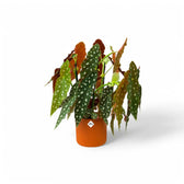 Planter 'b.for soft round' on white background, product photo 8.