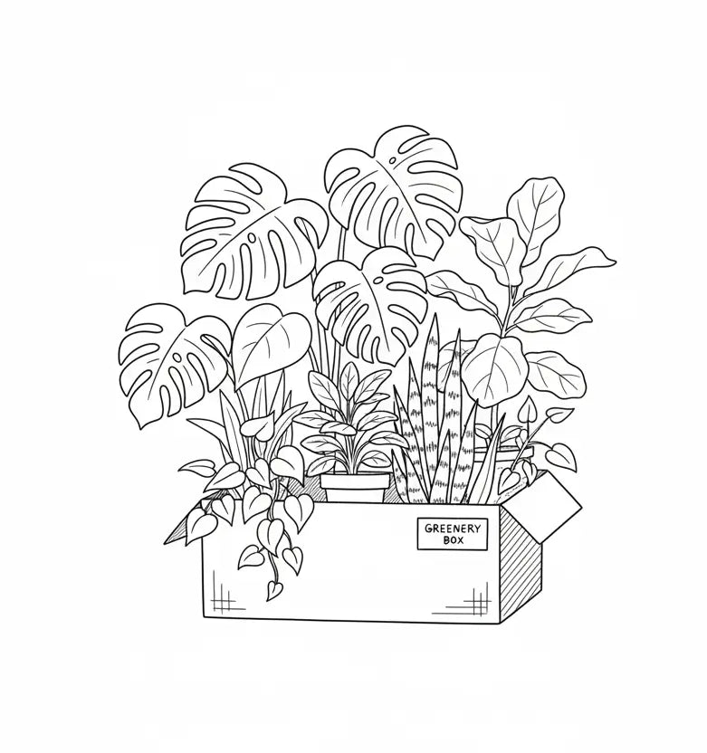 Illustration of a box labeled 'Greenery Box' filled with potted plants on a white background