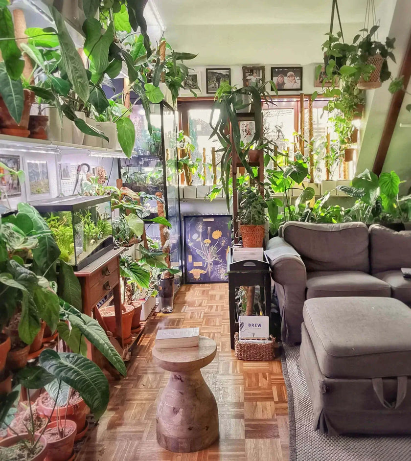 Wohnzimmer mit vielen Pflanzen und einem grauen Sofa