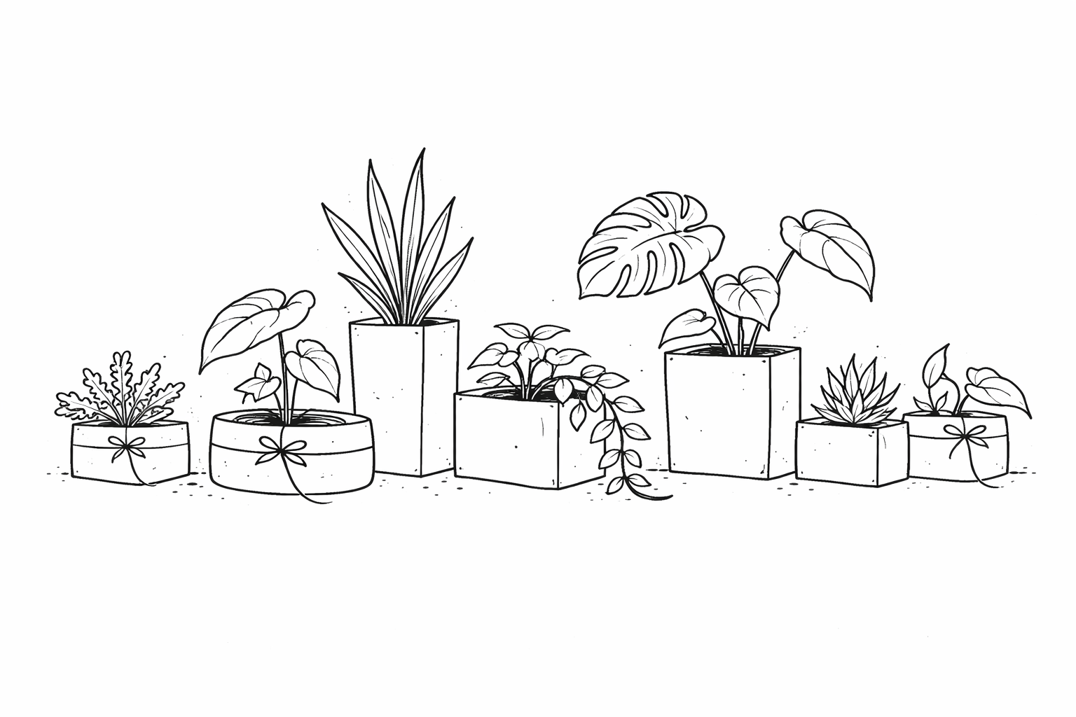 Line drawing of various potted plants on a white background