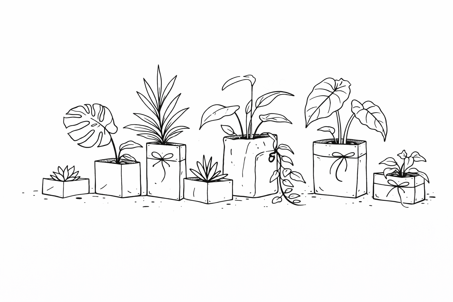 Illustration of various potted plants with gift boxes on a white background